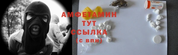 гидра Аркадак